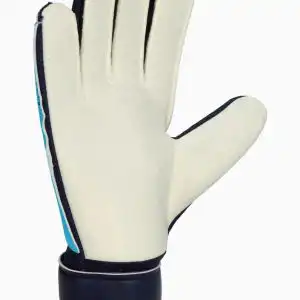 Mănuși Nike Match (PSH-FJ4862-420-P) Mănuși Portar