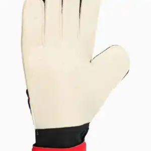 Mănuși de portar adidas Predator Training (PSH-JH3805-P) Mănuși Portar