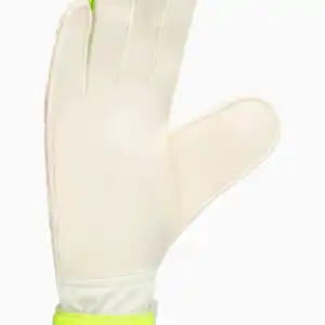 Mănuși de portar adidas Predator Training (PSH-JH3806-P) Mănuși Portar
