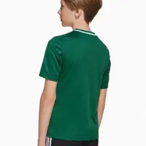 Tricou adidas Campeon 25 Junior (PSH-JJ4163-P) Tricouri de fotbal