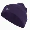 Căciulă adidas Adicolor Classic (PSH-JZ4980-P) Accesorii