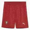 Pantaloni scurți Puma Portugalia 2026 Home (PSH-78329901-P) Pantaloni / Pantaloni scurți