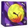 Minge Puma Orbita Ultimate Lights Premier League dimensiunea 5 (PSH-08489401#5-P) Pentru iarbă