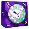Minge Puma Orbita Ultimate Thrill Premier League dimensiunea 5 (PSH-08489501#5-P) Pentru iarbă