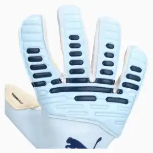 Mânuși Puma Future Pro Hybrid (PSH-04212201-P) Mănuși Portar