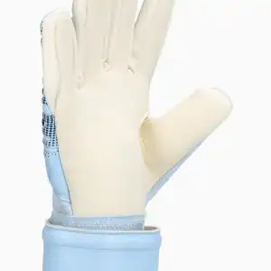 Mânuși Puma Future Match NC (PSH-04212401-P) Mănuși Portar