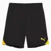 Pantaloni scurți Puma teamGOAL Junior (PSH-70575326-P) Șorturi de fotbal
