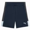Pantaloni scurți Puma individualLIGA - Albastru Marin (PSH-660574-P) Șorturi de fotbal