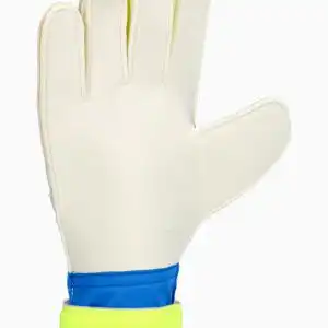 Mănuși de portar adidas Predator Training (PSH-KA7786-P) Mănuși portar