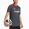 Tricou adidas Originals 1. FC Union Berlin 26/27 Home Replica - Gri (PSH-KM1666-P) Tricouri
